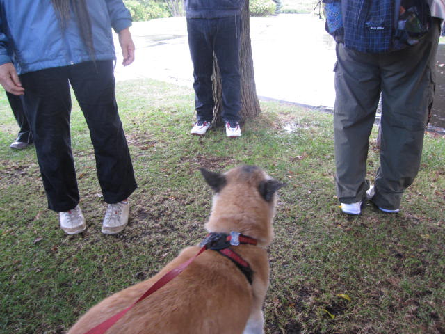 e0191826_054494.jpg