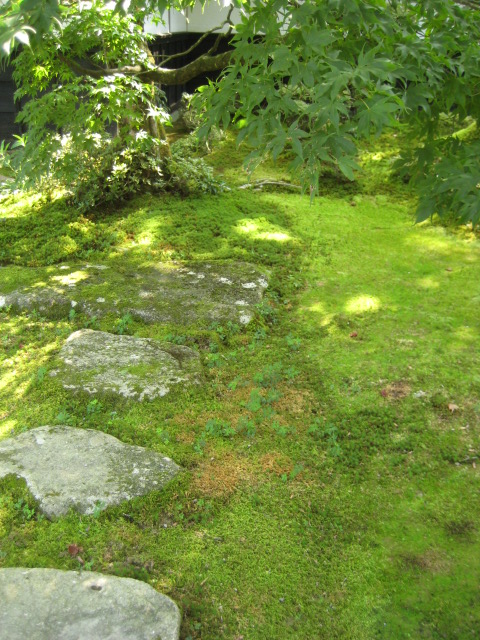 d0147727_20111818.jpg