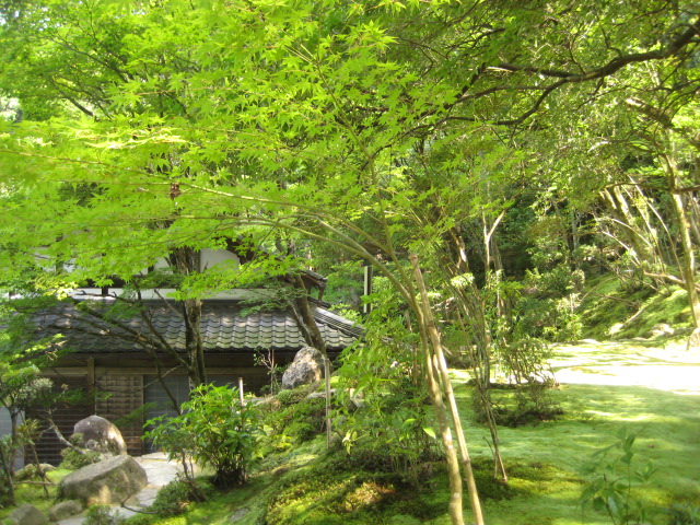 d0147727_20145160.jpg