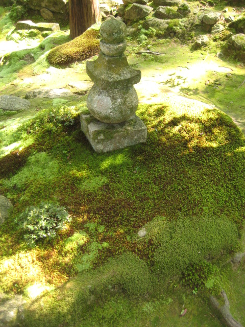 d0147727_20162754.jpg