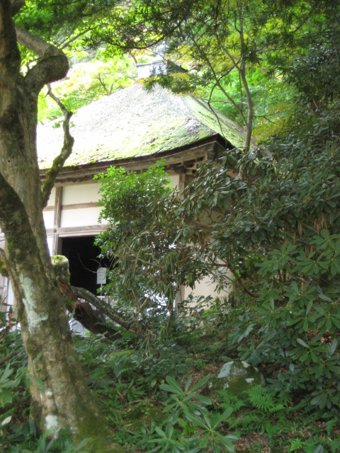 d0147727_20262342.jpg