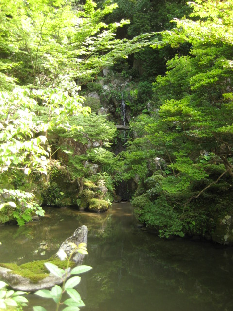d0147727_202946100.jpg