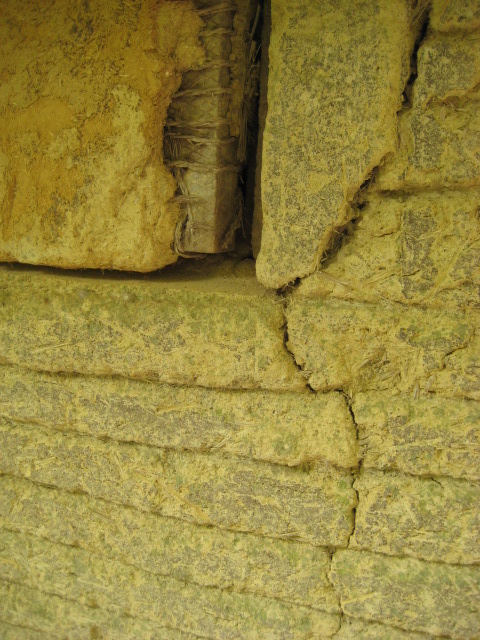 d0147727_20314463.jpg