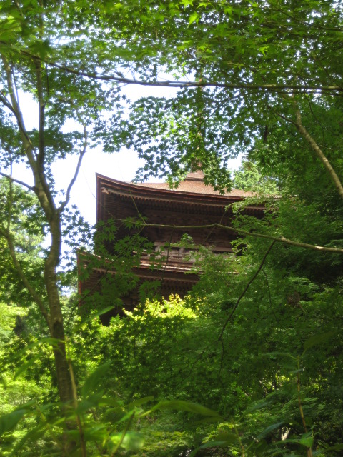 d0147727_20341071.jpg