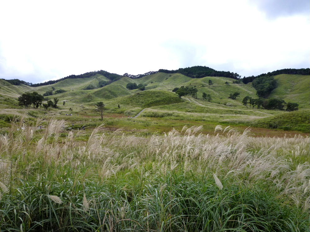 d0075131_1913100.jpg