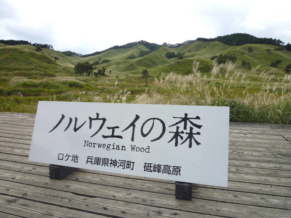 d0075131_19457.jpg