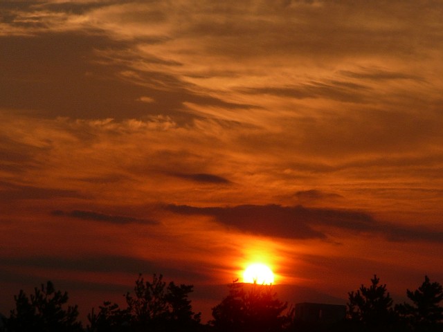 c0194535_14135052.jpg