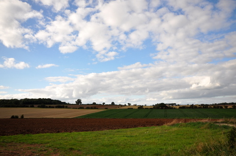 c0156438_10555198.jpg