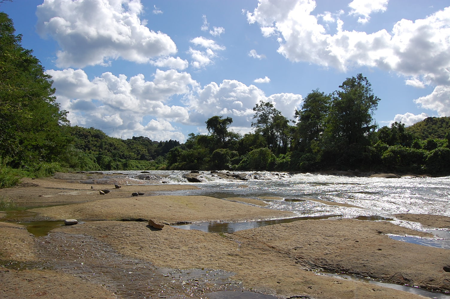 e0055138_25862.jpg