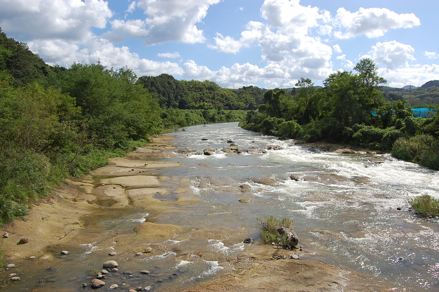 e0055138_281453.jpg