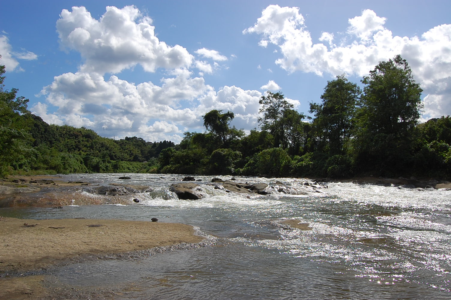 e0055138_29417.jpg