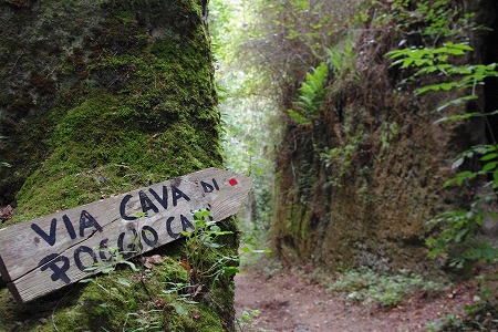 d0092439_23561717.jpg