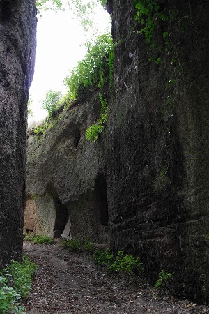 d0092439_23563775.jpg