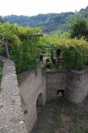 d0092439_23571089.jpg