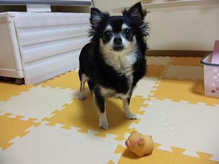 c0121141_0211536.jpg