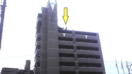 b0001143_20221645.jpg