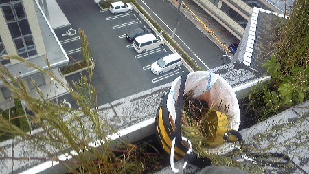 b0001143_20283567.jpg