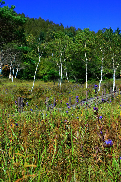 c0228945_10133080.jpg