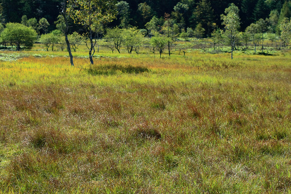 c0228945_940127.jpg