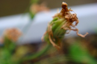 b0200747_16262876.jpg