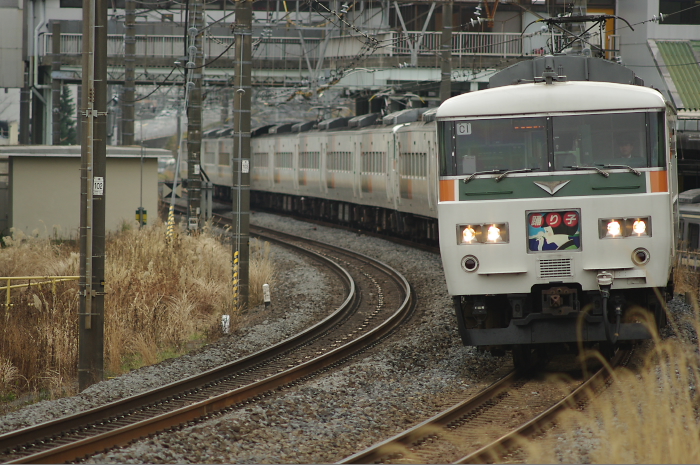 d0159548_227416.jpg