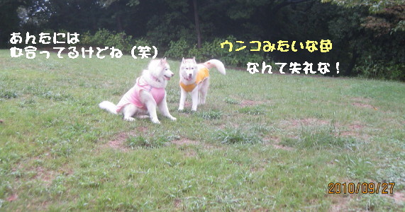 e0121548_22101013.jpg