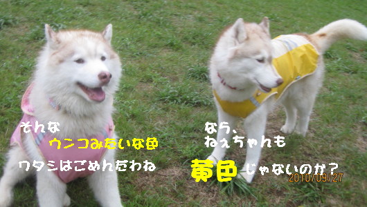 e0121548_2262182.jpg
