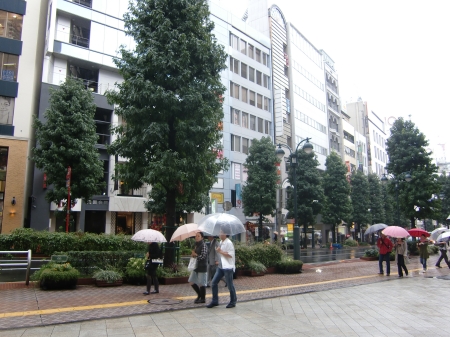 c0206352_2023375.jpg