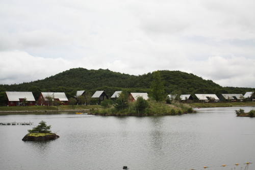 f0217153_11223793.jpg