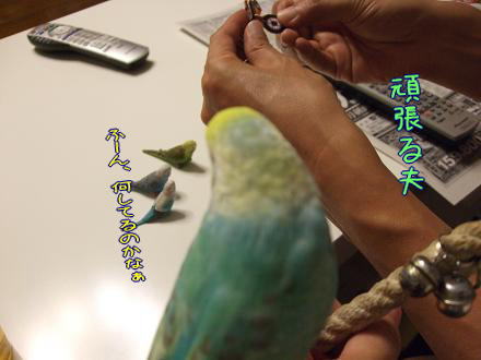 f0149057_23483673.jpg