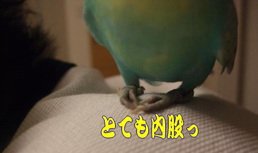 f0149057_2348368.jpg