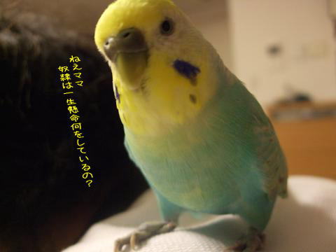 f0149057_23483875.jpg