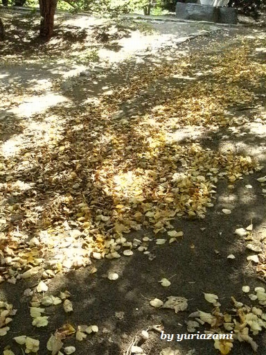 d0145759_1556561.jpg