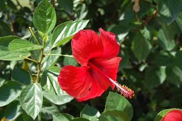 f0097363_18104433.jpg