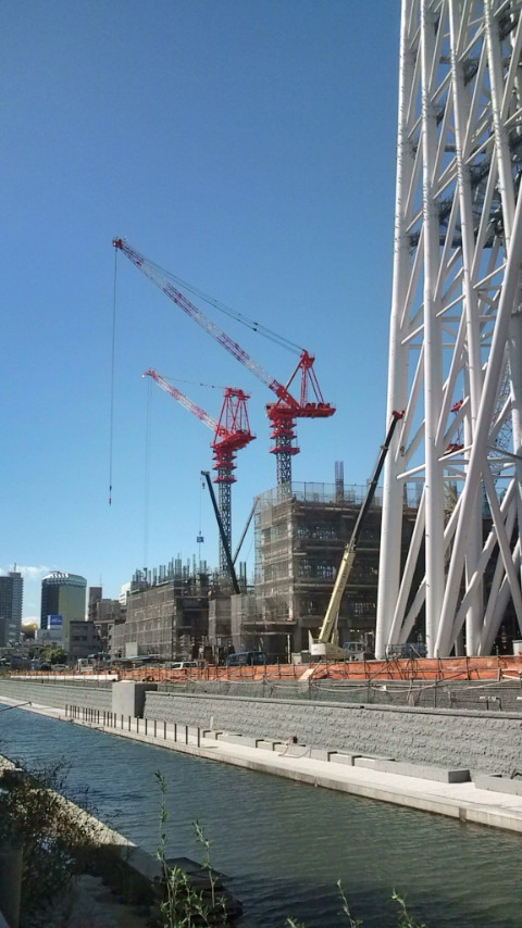 f0159763_018514.jpg