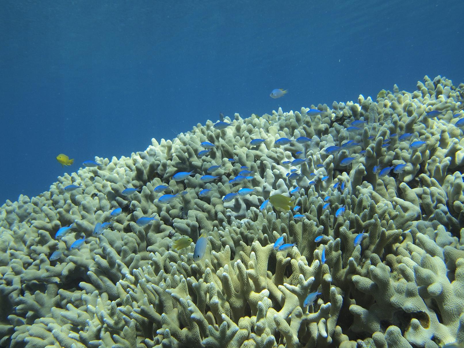 b0138768_429295.jpg
