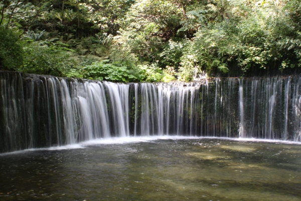 b0069169_17173883.jpg