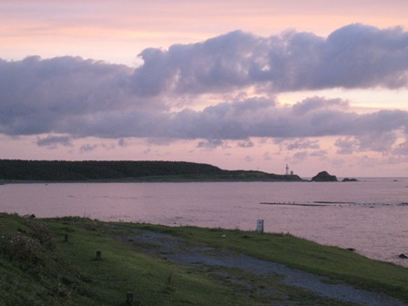 f0088569_852980.jpg