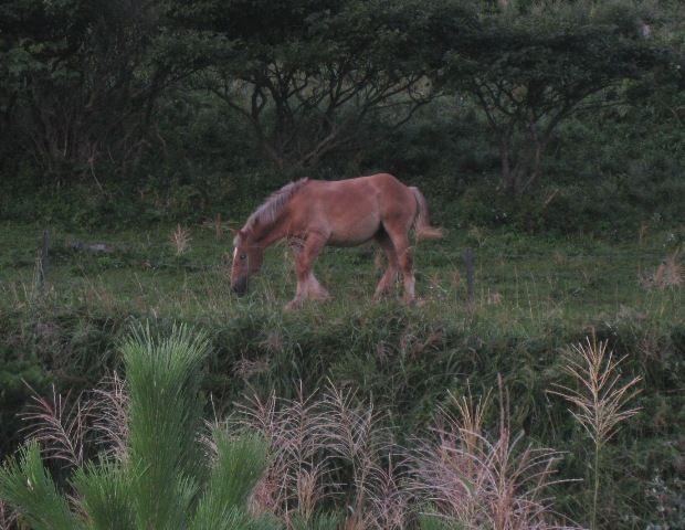 f0088569_938139.jpg
