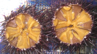 f0088569_9531186.jpg