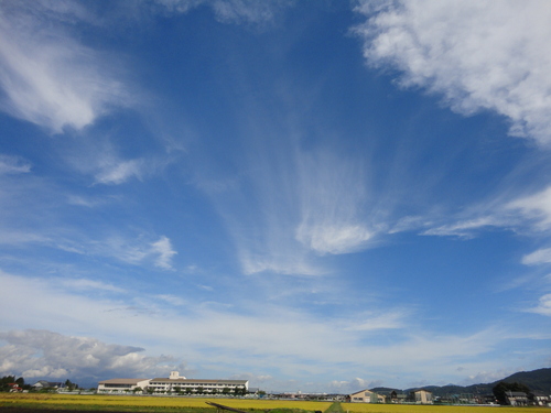 a0038370_21282289.jpg