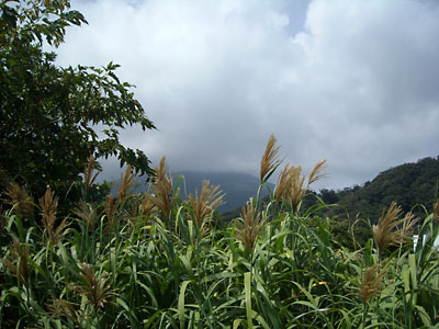 e0097770_1432984.jpg