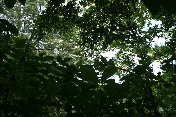 d0030373_10304555.jpg