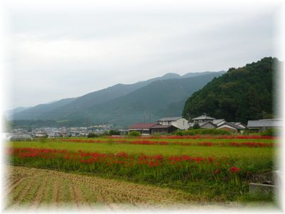 d0175974_9565258.jpg
