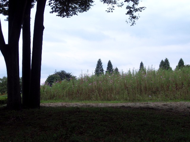 d0162276_22371099.jpg