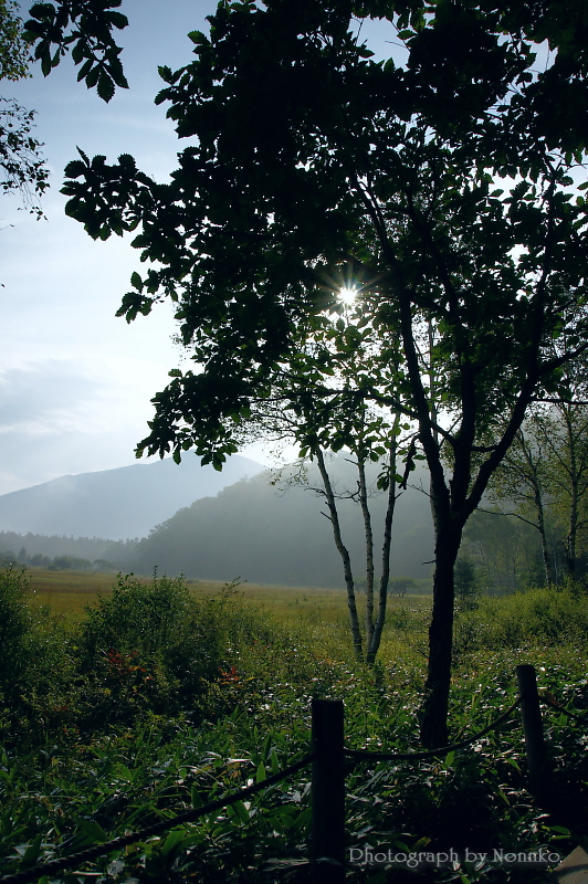 c0106977_159080.jpg