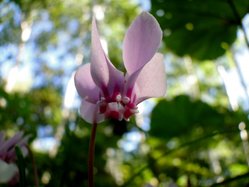 c0183777_834047.jpg