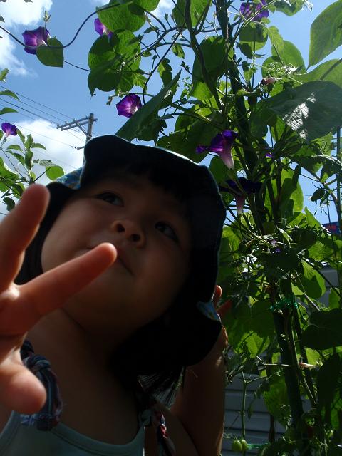 b0053478_2236487.jpg