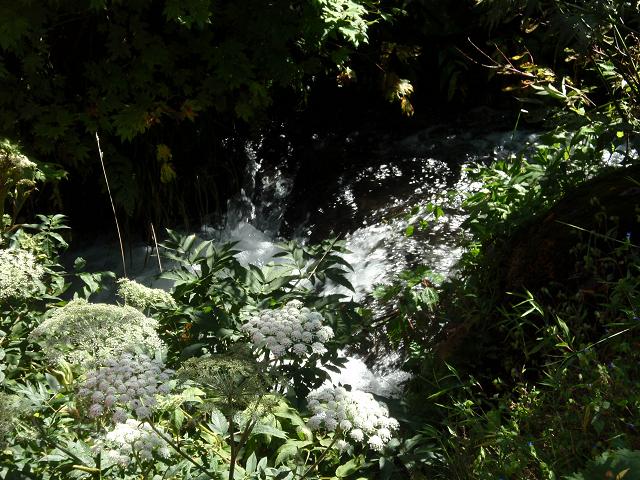 b0053478_22391249.jpg