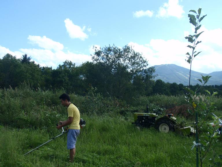 b0053478_22501638.jpg